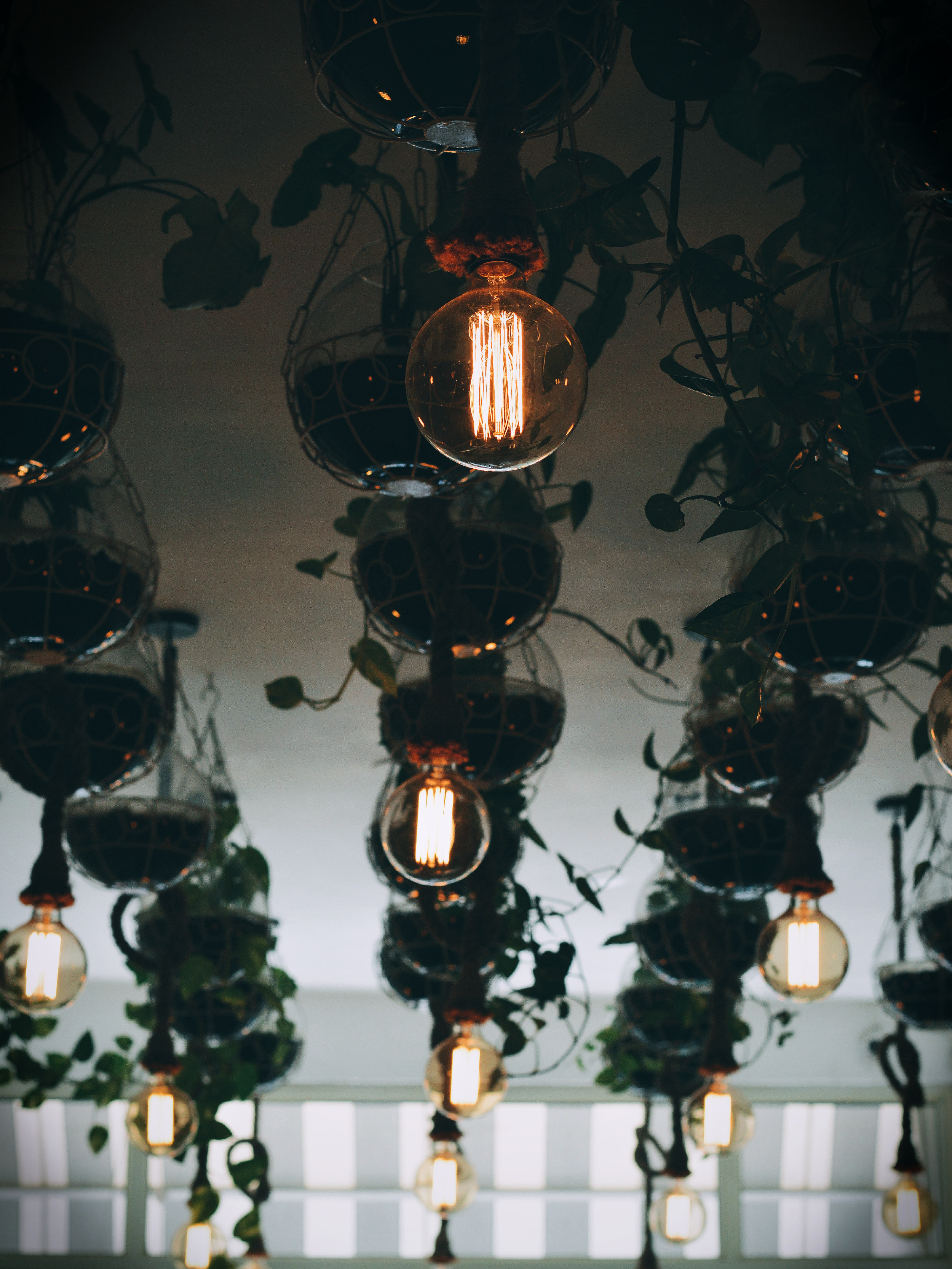 Light bulbs among plants ^^